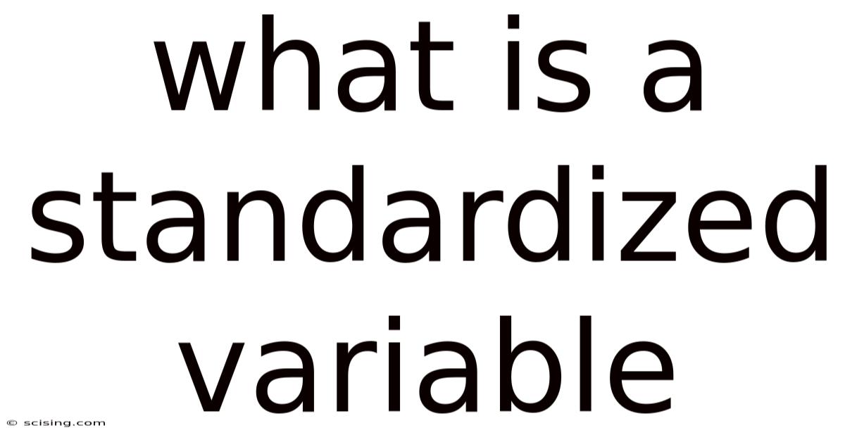 What Is A Standardized Variable