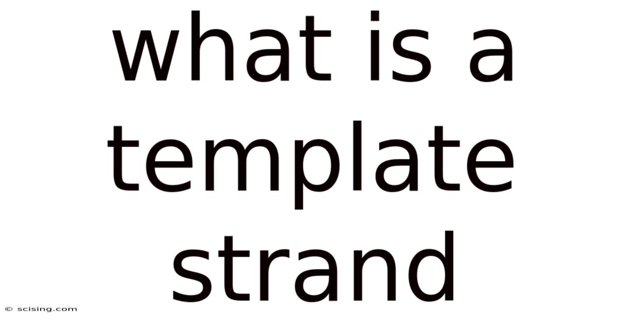 What Is A Template Strand