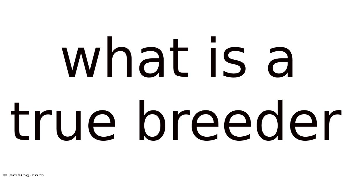 What Is A True Breeder