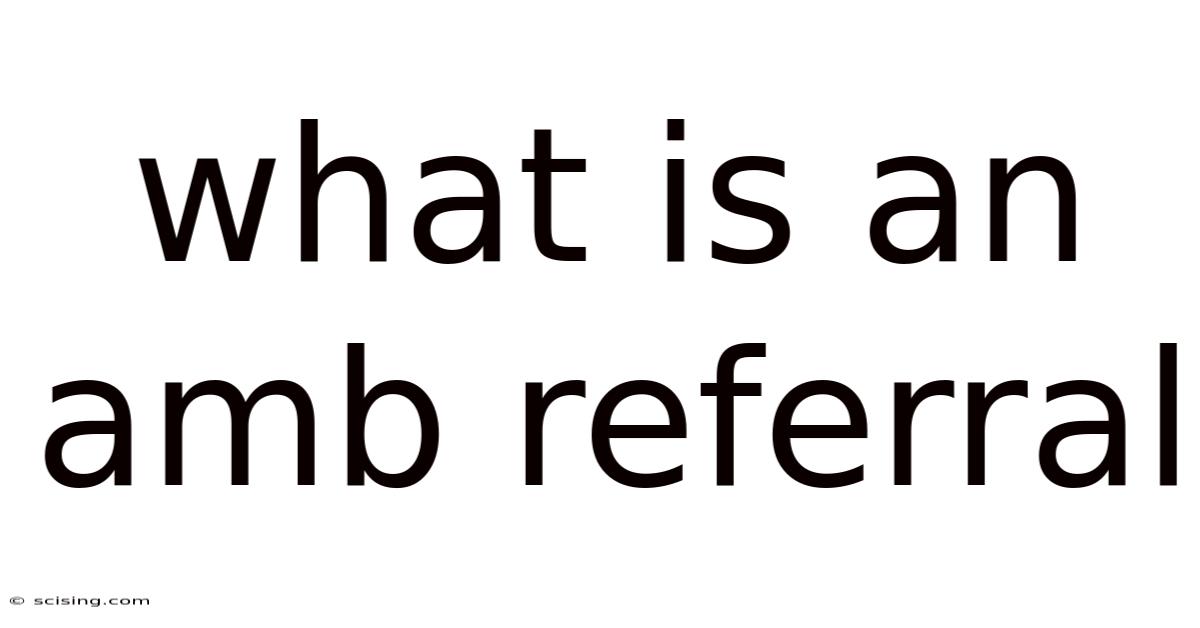 What Is An Amb Referral