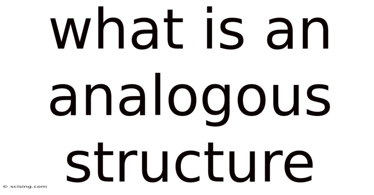 What Is An Analogous Structure