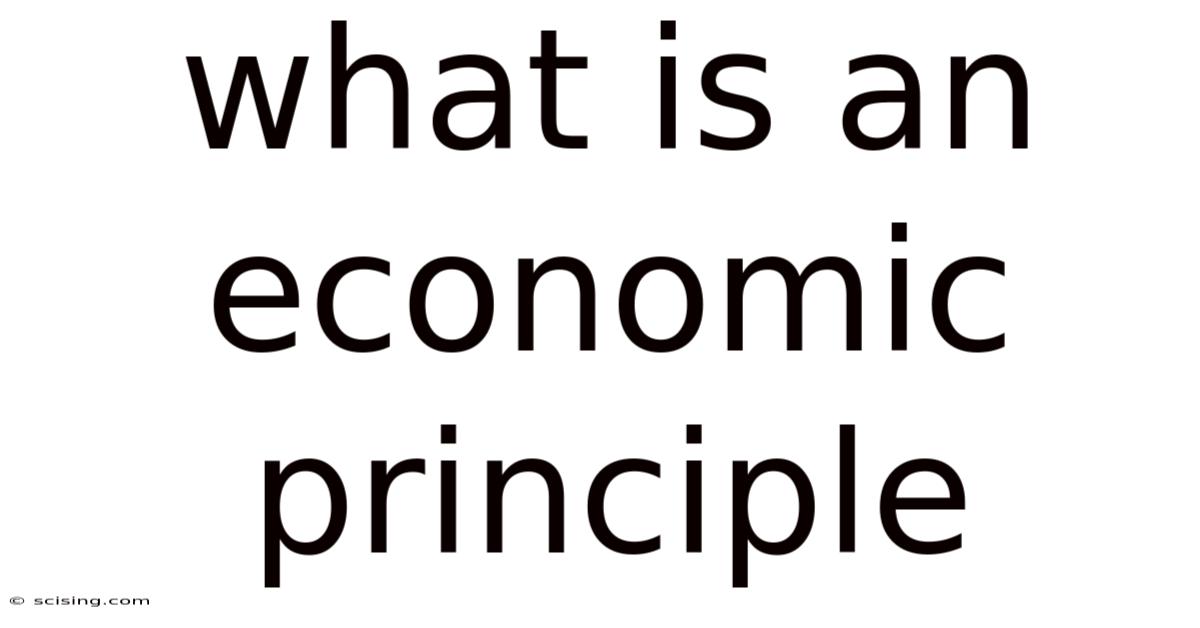 What Is An Economic Principle