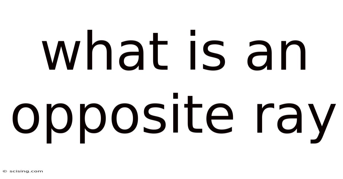 What Is An Opposite Ray