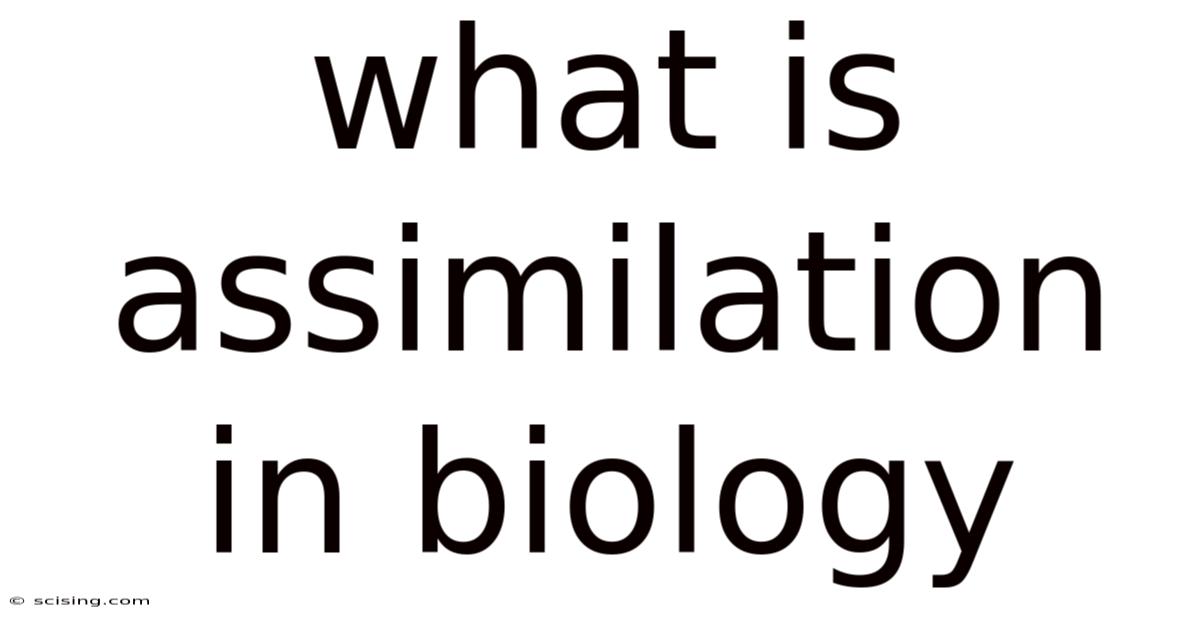 What Is Assimilation In Biology