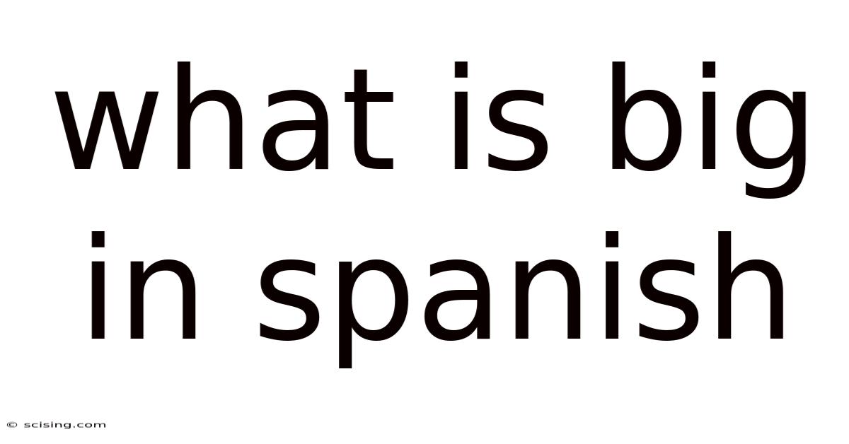 What Is Big In Spanish