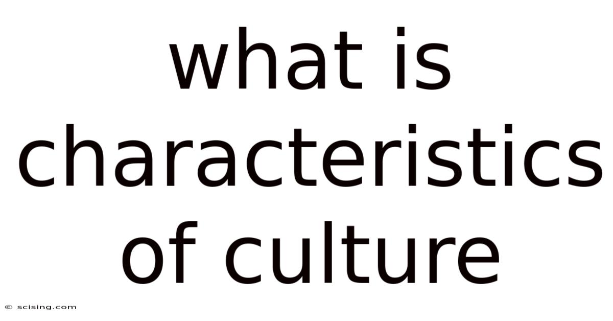 What Is Characteristics Of Culture