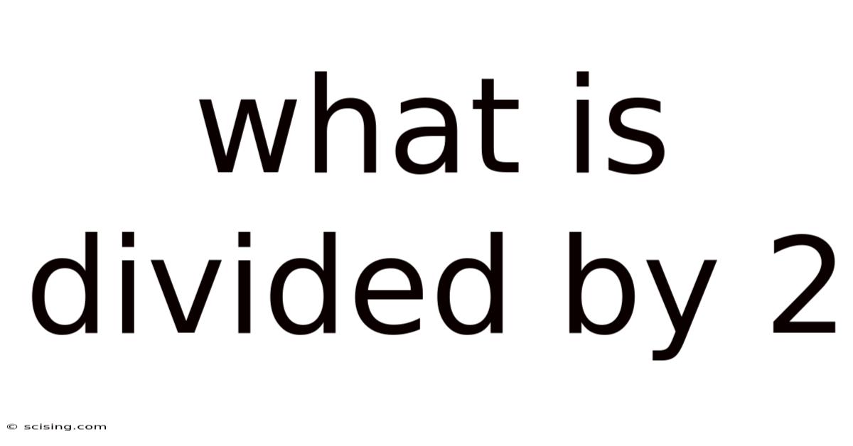 What Is Divided By 2