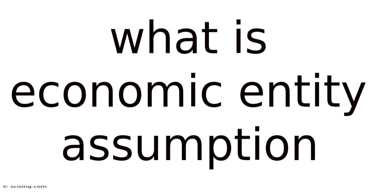 What Is Economic Entity Assumption