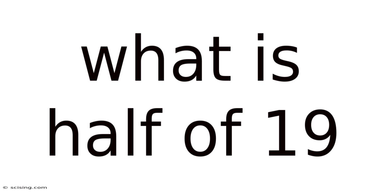 What Is Half Of 19