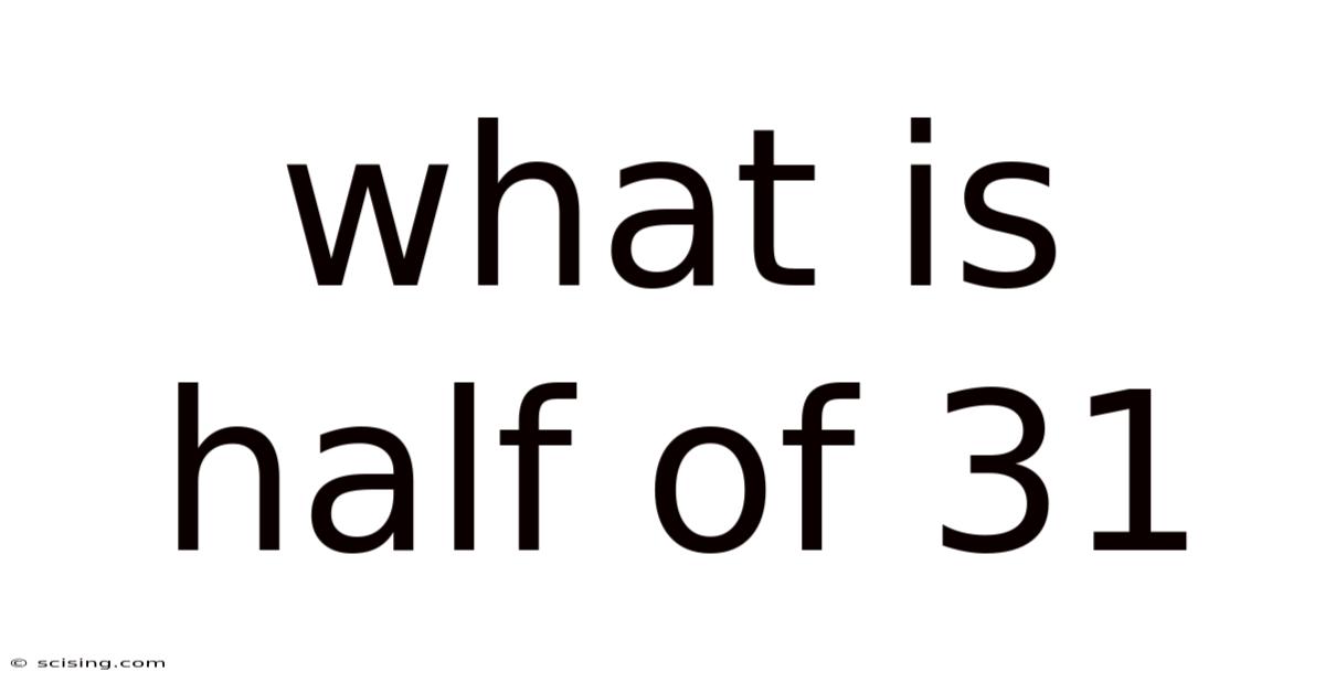 What Is Half Of 31