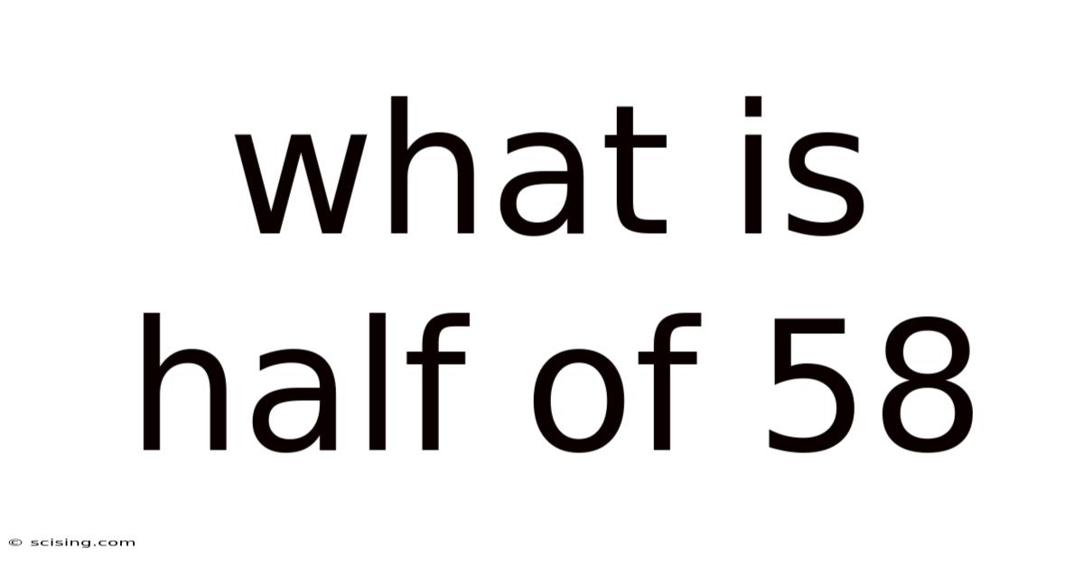 What Is Half Of 58