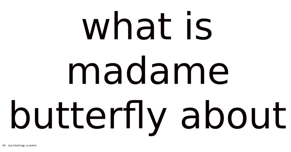 What Is Madame Butterfly About