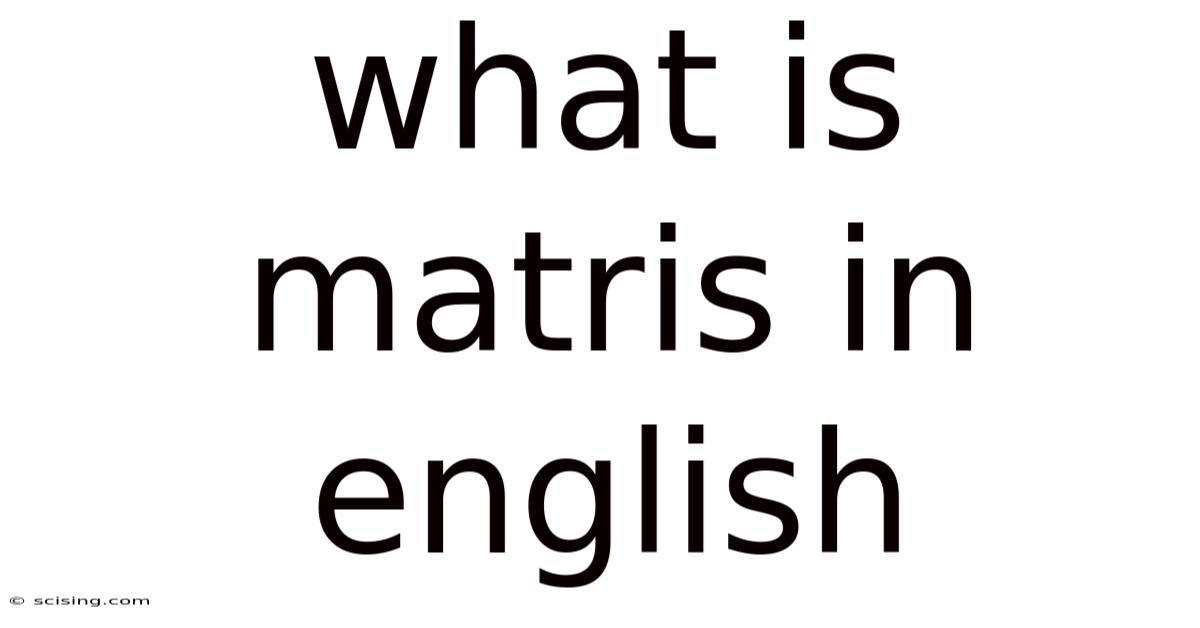 What Is Matris In English