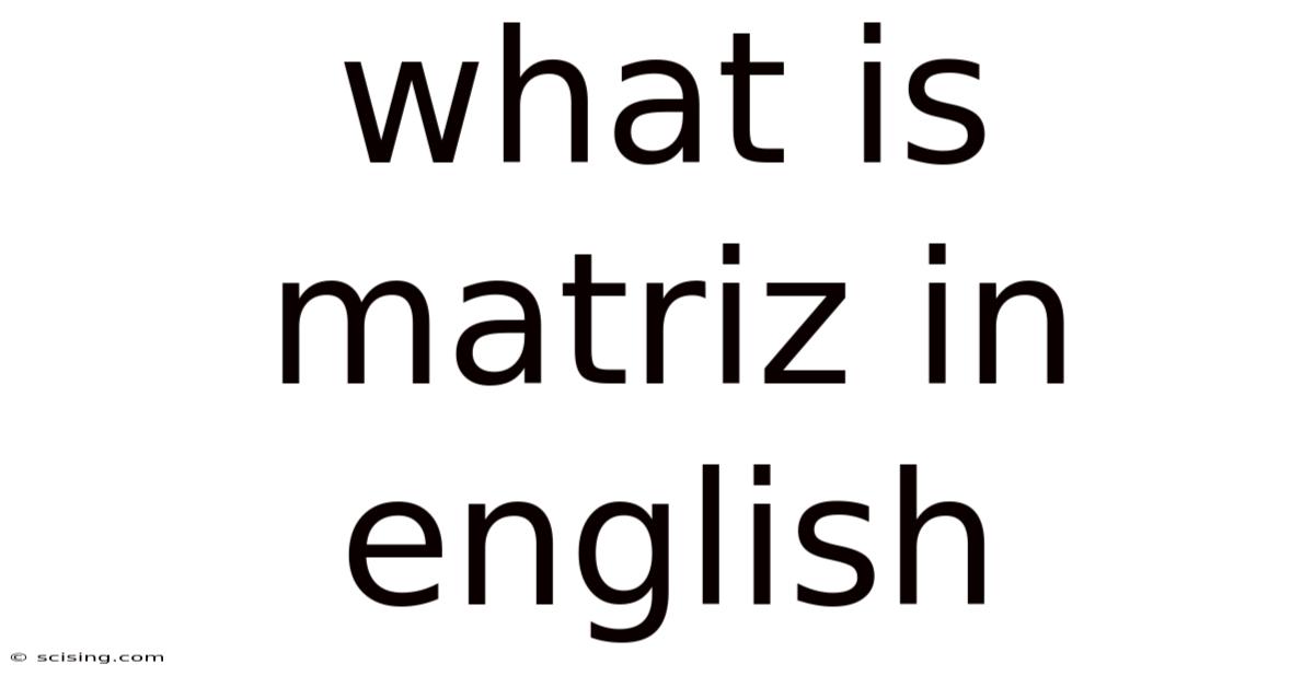 What Is Matriz In English