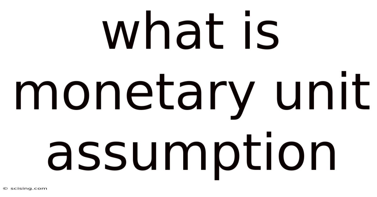 What Is Monetary Unit Assumption