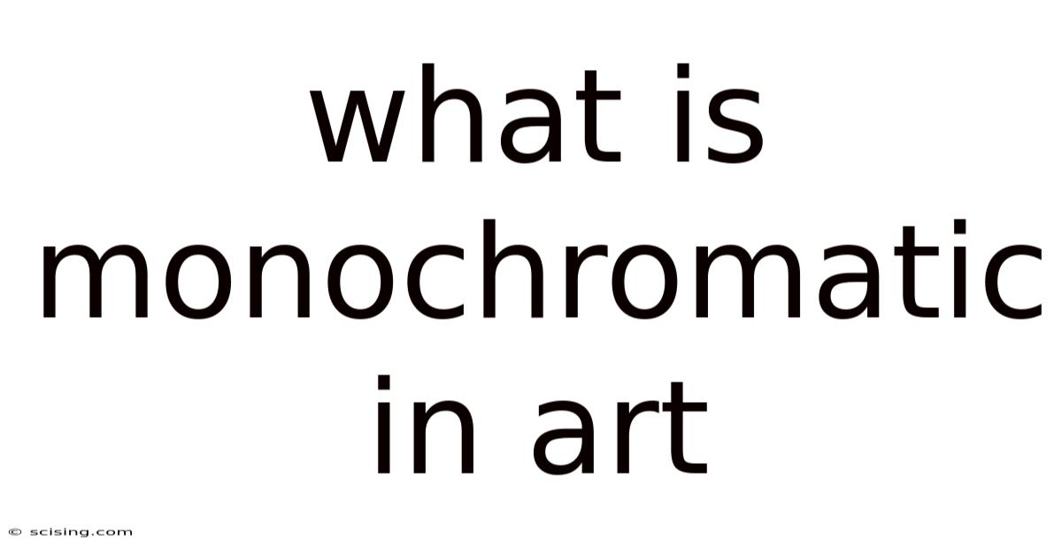 What Is Monochromatic In Art