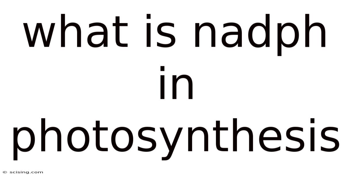 What Is Nadph In Photosynthesis