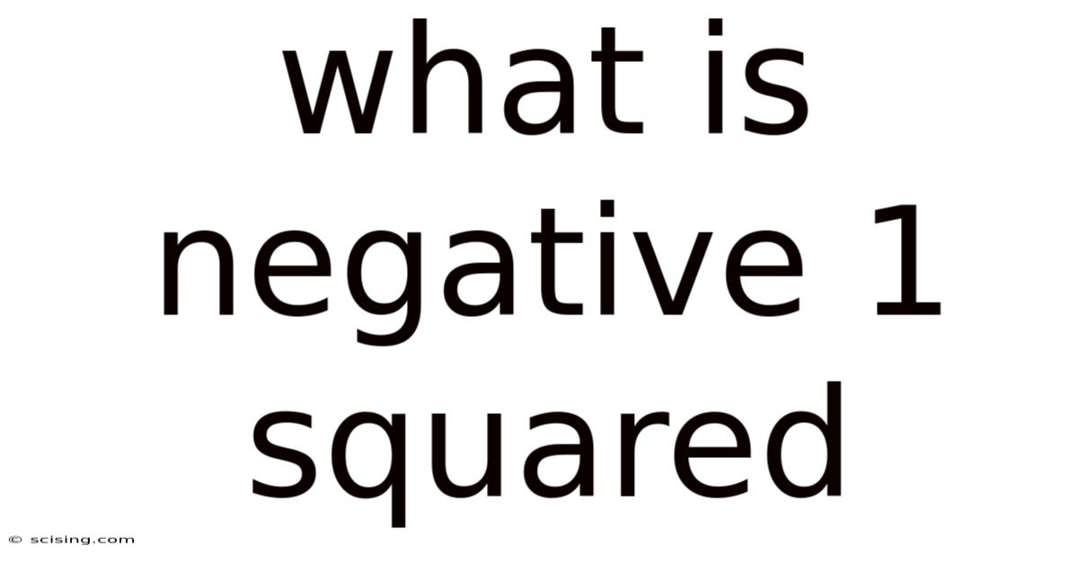 What Is Negative 1 Squared