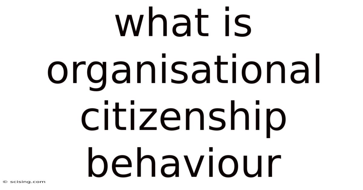 What Is Organisational Citizenship Behaviour