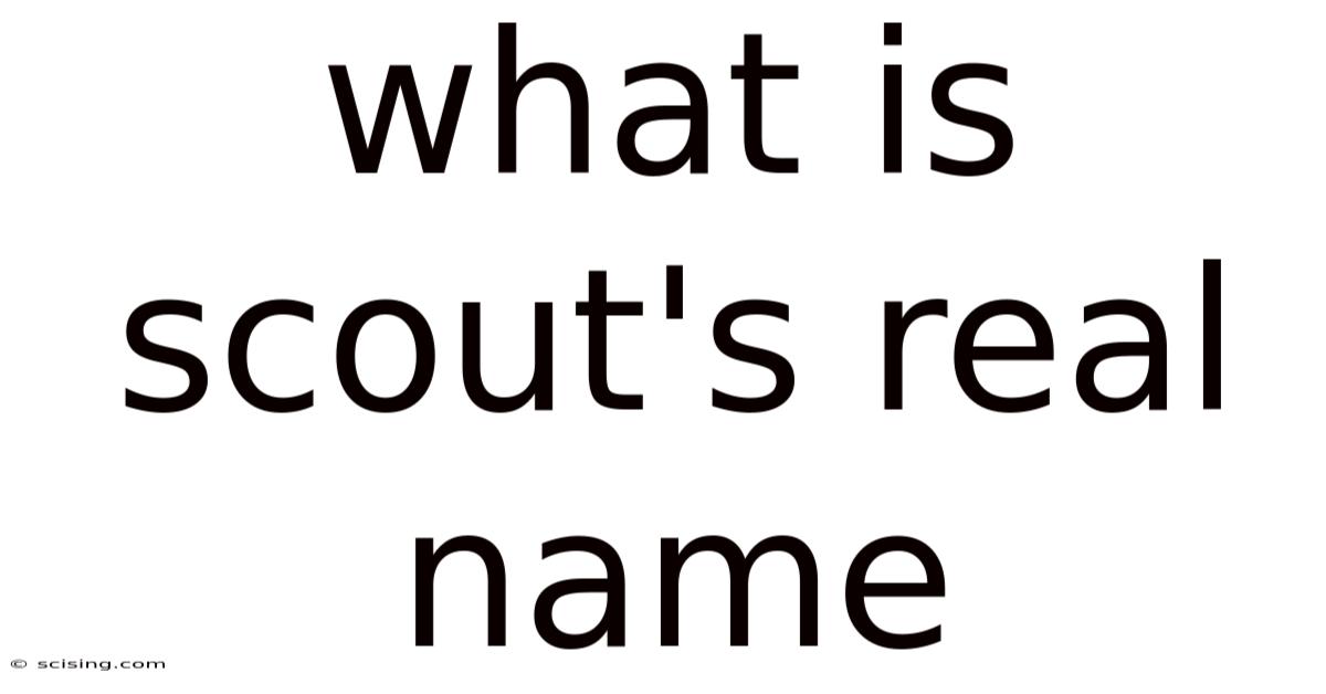 What Is Scout's Real Name