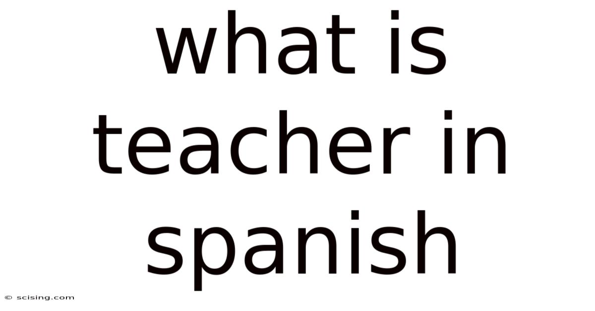 What Is Teacher In Spanish