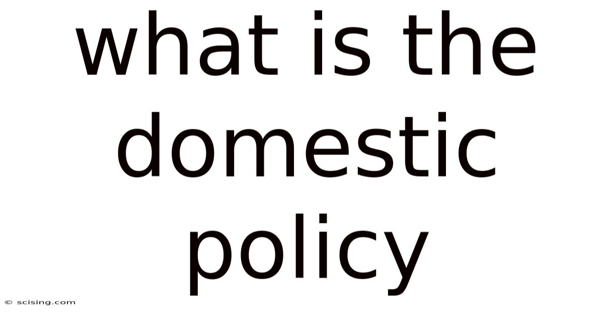 What Is The Domestic Policy