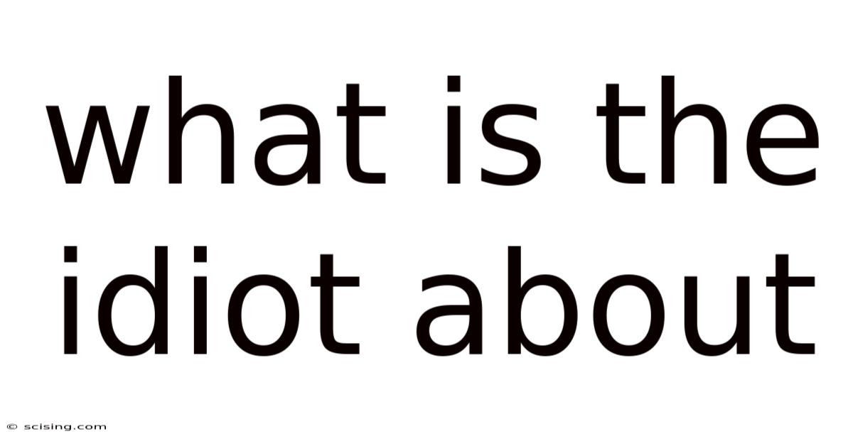 What Is The Idiot About