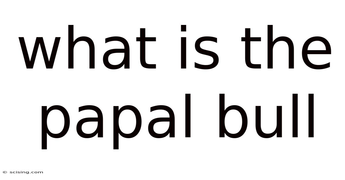What Is The Papal Bull