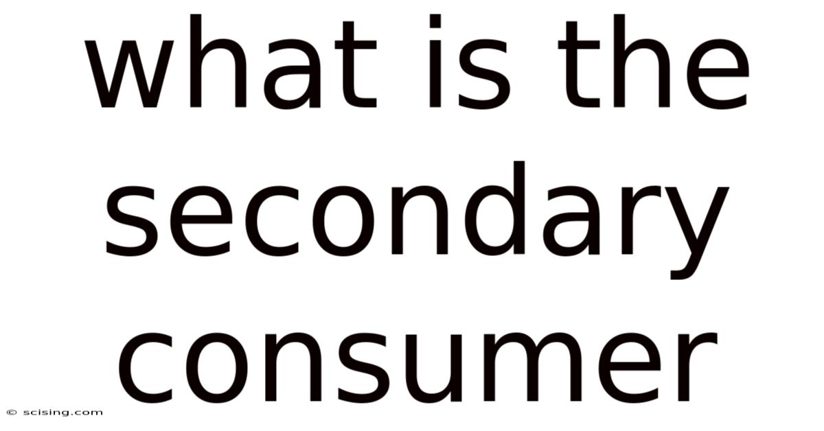 What Is The Secondary Consumer
