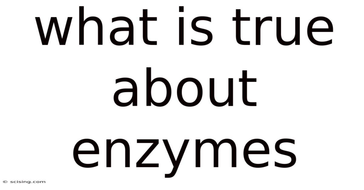 What Is True About Enzymes