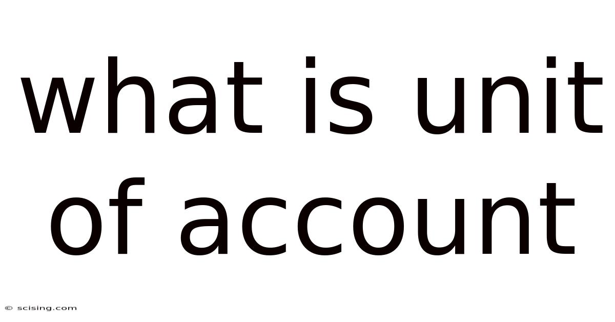 What Is Unit Of Account