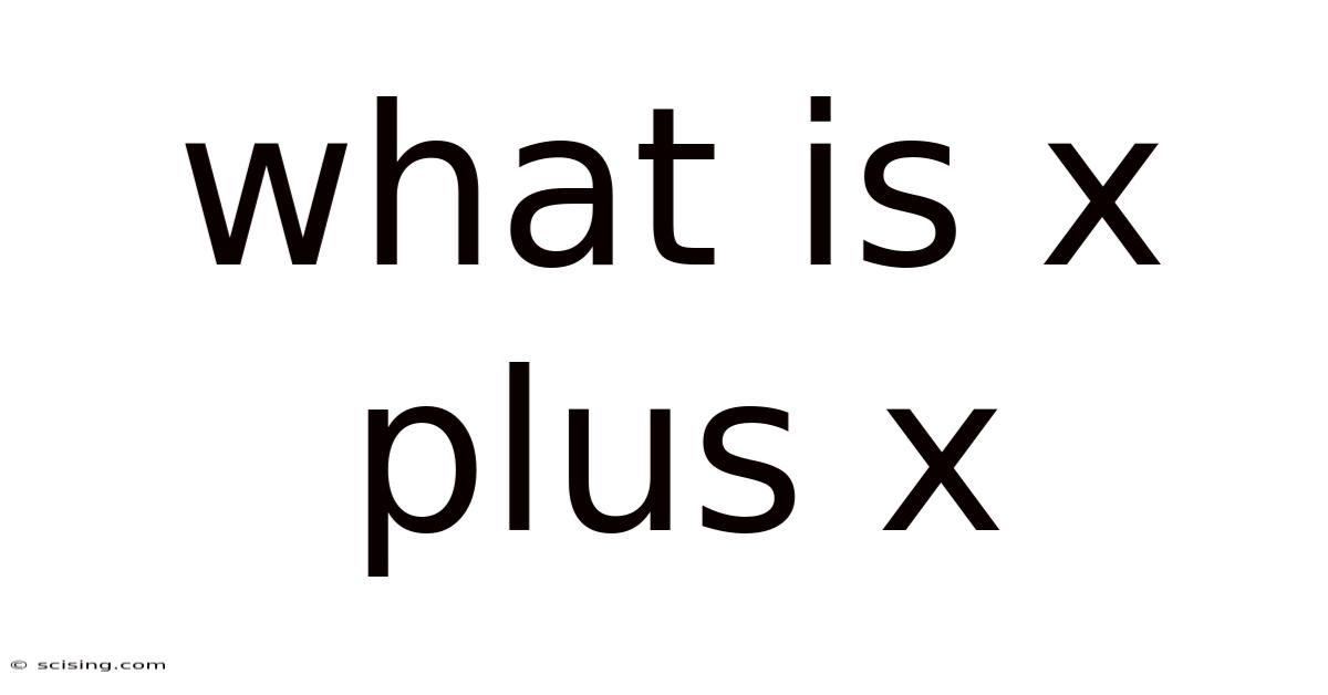 What Is X Plus X