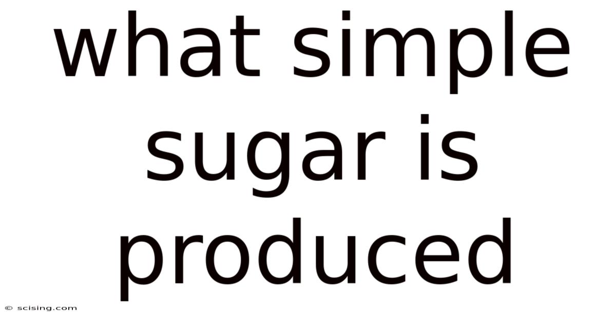 What Simple Sugar Is Produced