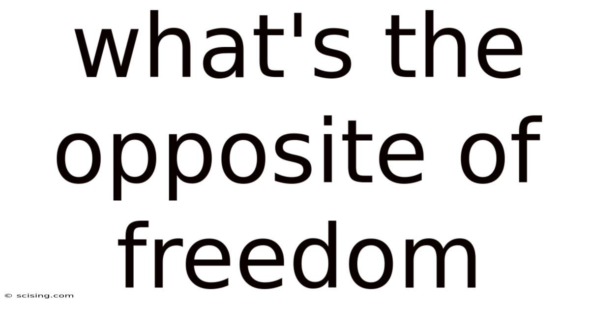What's The Opposite Of Freedom