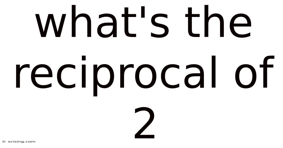 What's The Reciprocal Of 2