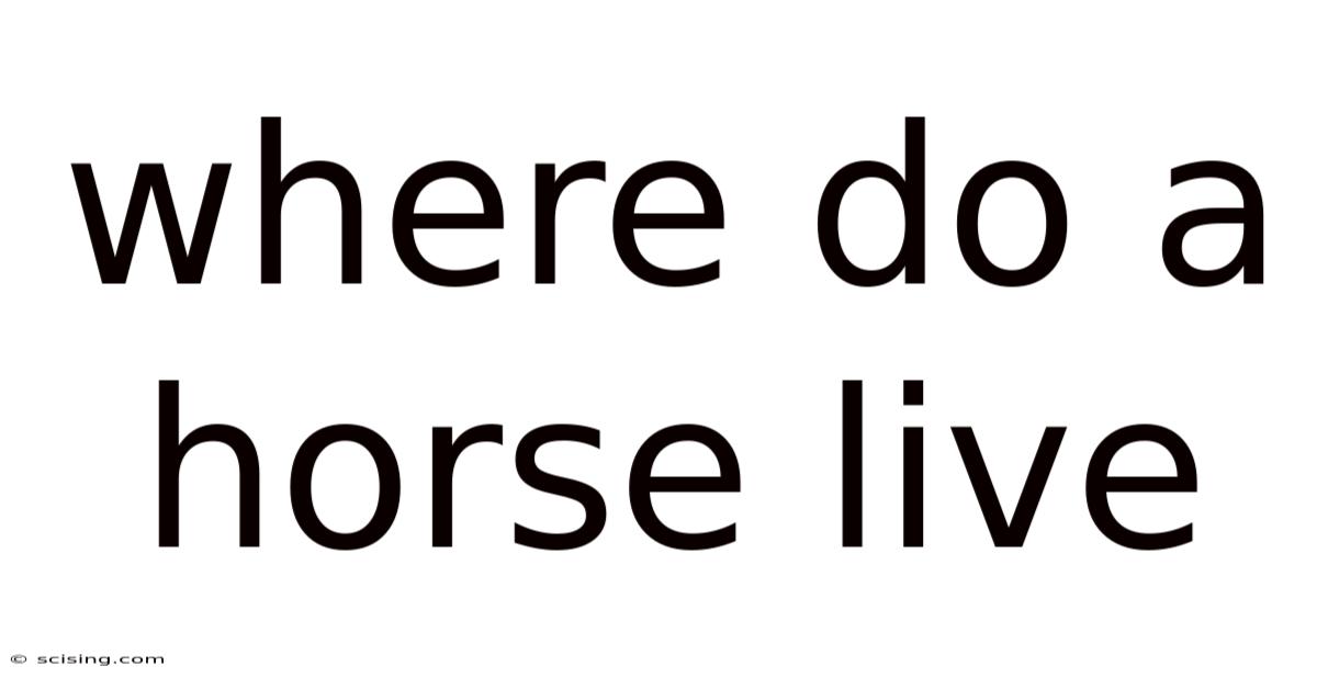 Where Do A Horse Live