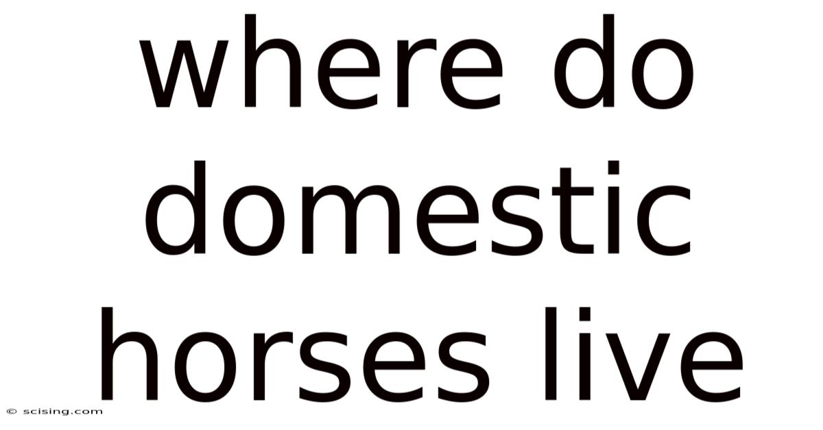 Where Do Domestic Horses Live