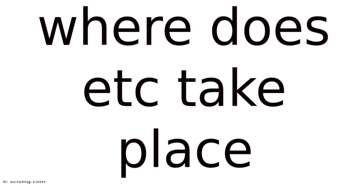 Where Does Etc Take Place