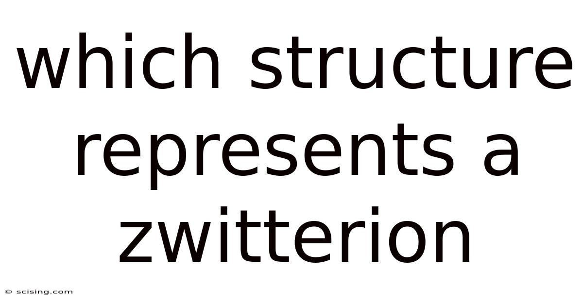 Which Structure Represents A Zwitterion