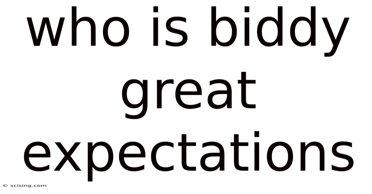 Who Is Biddy Great Expectations