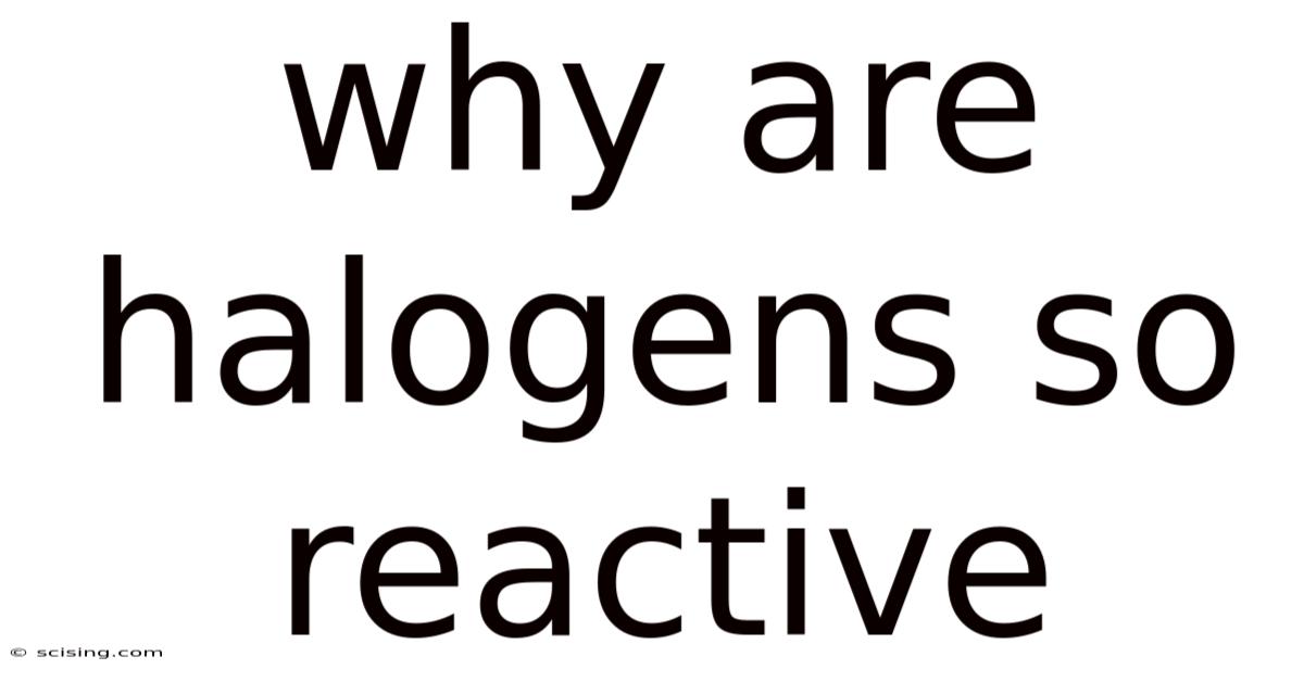 Why Are Halogens So Reactive
