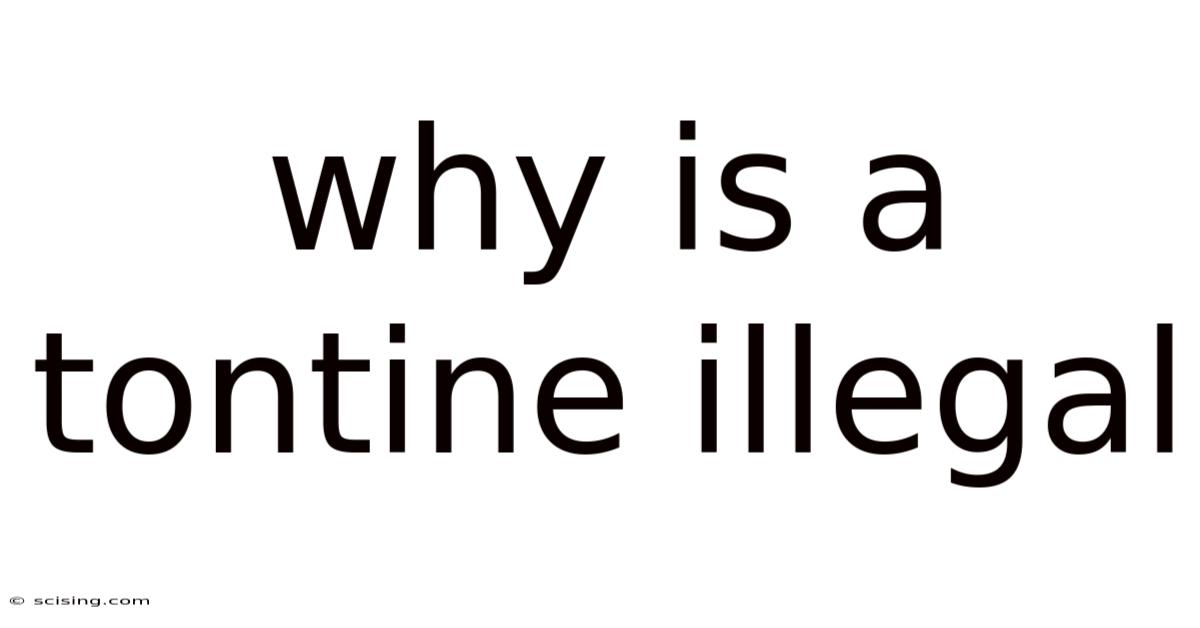 Why Is A Tontine Illegal