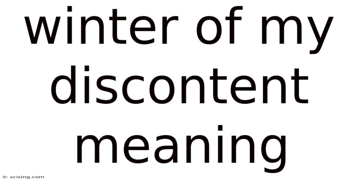 Winter Of My Discontent Meaning