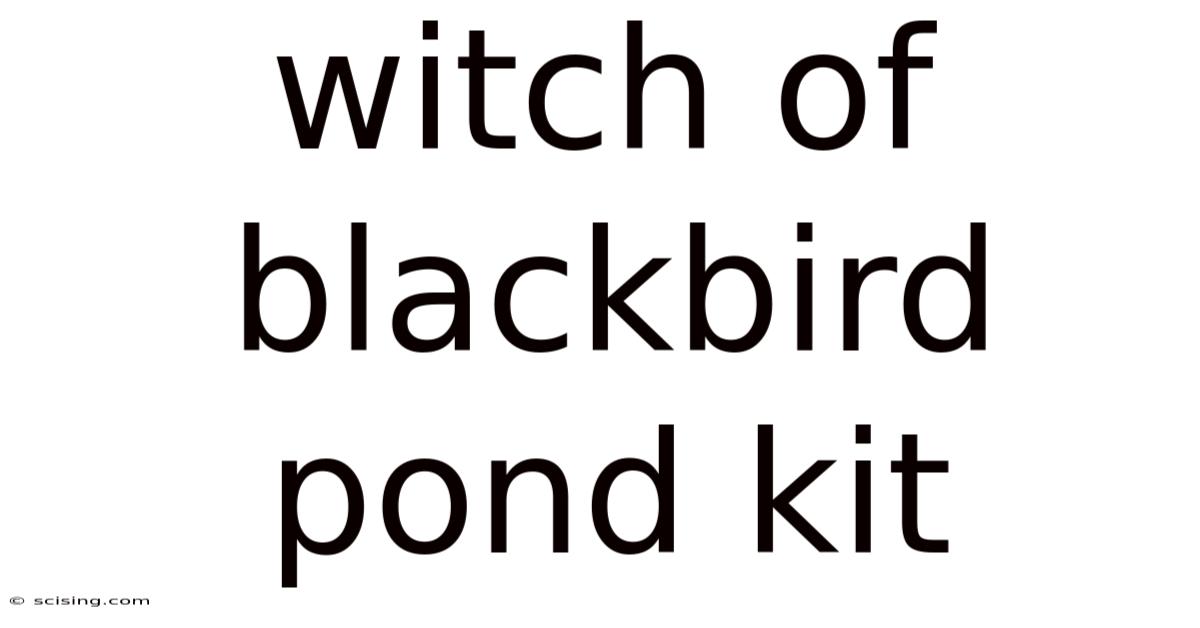 Witch Of Blackbird Pond Kit