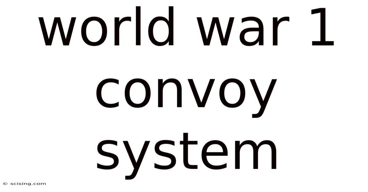 World War 1 Convoy System