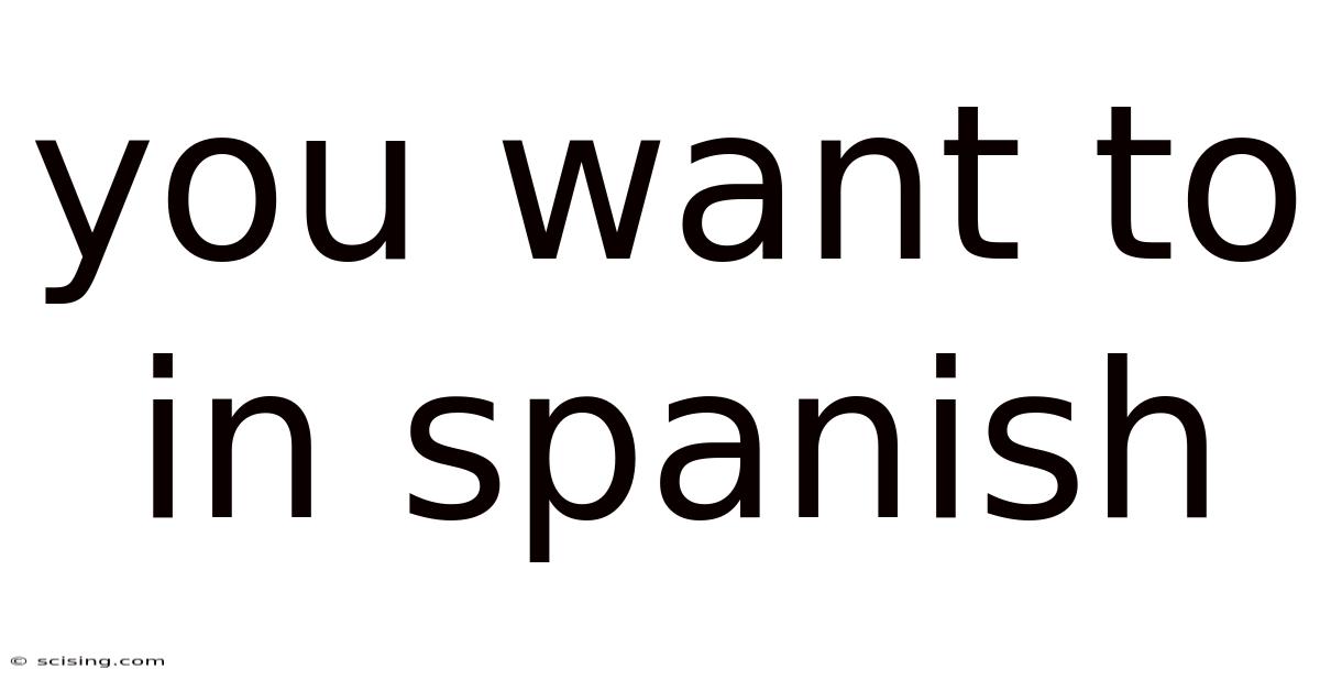 You Want To In Spanish
